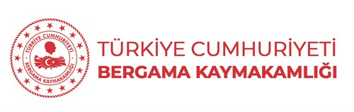Bergama 1 JPG